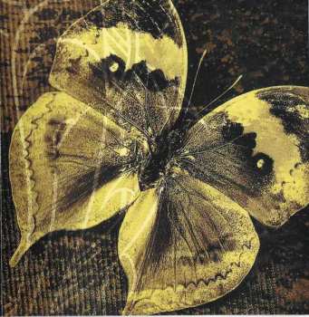 CD Paradise Lost: Icon