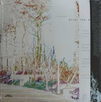 2LP Parannoul: After The Magic CLR | LTD