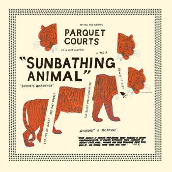 LP Parquet Courts: Sunbathing Animal