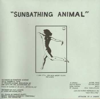 LP Parquet Courts: Sunbathing Animal