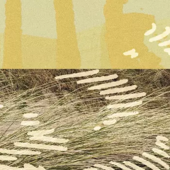 Parris: Terrapin EP