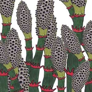Album Part Chimp: IV