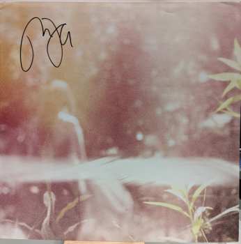 2LP Passion Pit: Gossamer CLR