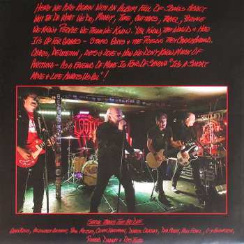 LP Pat Todd & The Rankoutsiders: Keepin' Chaos At Bay