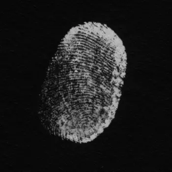 Patricia Brennan: More Touch