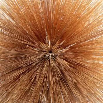 Patricia Brennan: Of The Near And Far