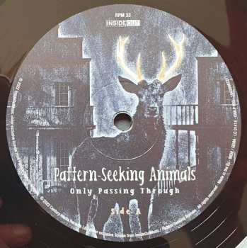 2LP/CD Pattern-Seeking Animals: Only Passing Through