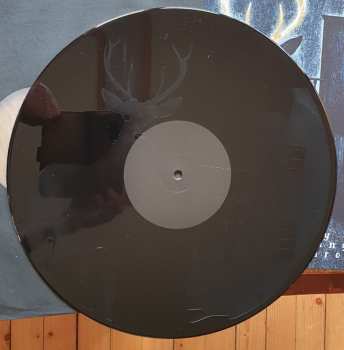 2LP/CD Pattern-Seeking Animals: Only Passing Through
