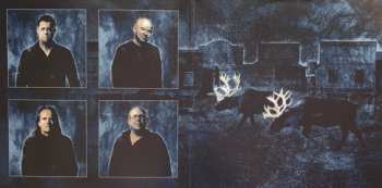 2LP/CD Pattern-Seeking Animals: Only Passing Through
