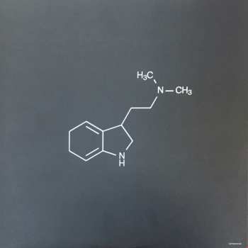 2LP Paul Epworth: Voyager