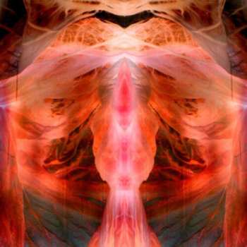 Album Paul Schütze: The Annihilating Angel; Or, The Surface Of The World