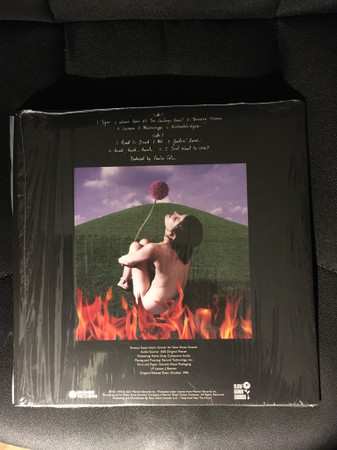 LP Paula Cole: This Fire  CLR