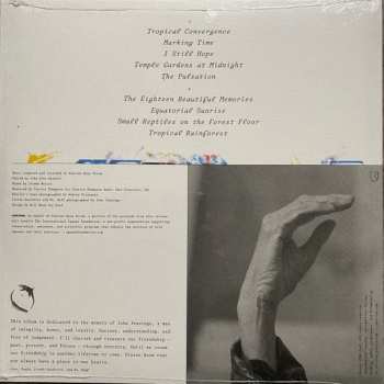 LP Pauline Anna Strom: Angel Tears In Sunlight CLR | LTD