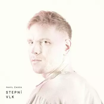 Stepní Vlk