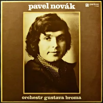 Pavel Novák: Pavel Novák