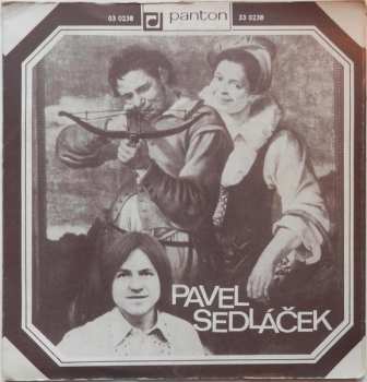 SP Pavel Sedláček: Záhon Růží