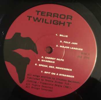 4LP/Doos Pavement: Terror Twilight: Farewell Horizontal LTD