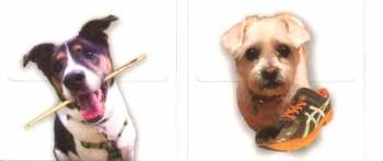 2CD/DVD Pavlov's Dog: House Broken