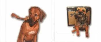 2CD/DVD Pavlov's Dog: House Broken