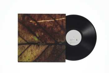 Album Pay Money To My Pain: Gene