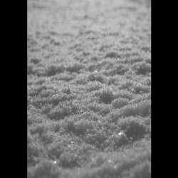 2LP Paysage D'Hiver: Schnee