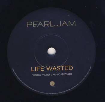 SP Pearl Jam: World Wide Suicide