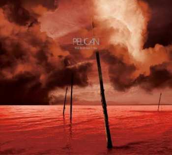 CD Pelican: What We All Come To Need