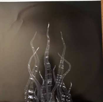 2LP Pelican: City Of Echoes LTD | CLR