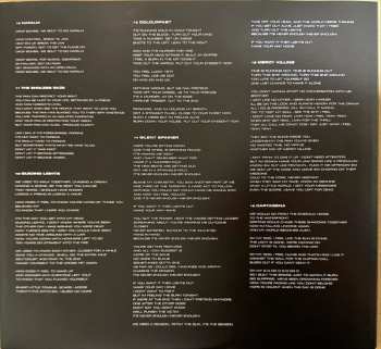 2LP Pendulum: Inertia CLR | LTD