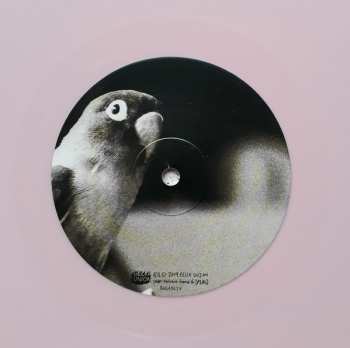 LP Penelope Isles: Until The Tide Creeps In CLR