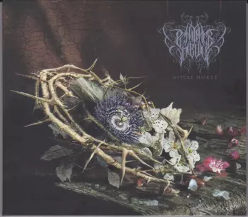 Nature Morte