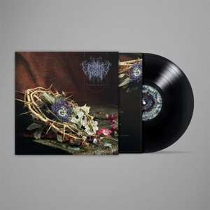 LP Penitence Onirique: Nature Morte CLR