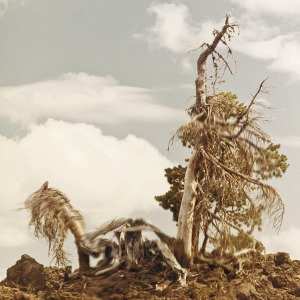 2LP People Of The North: Steep Formations