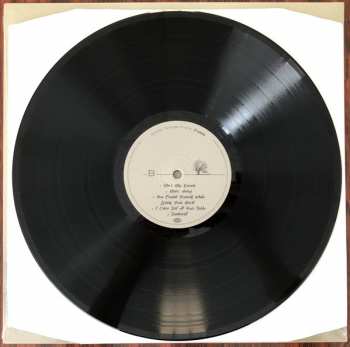 LP Stone Temple Pilots: Perdida