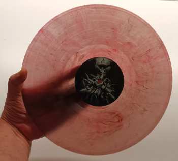 LP Permutation: Transience CLR | LTD