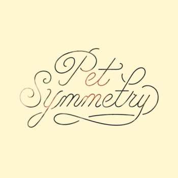 CD Pet Symmetry: Vision