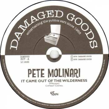 SP Pete Molinari: It Came Out Of The Wilderness E.P. LTD