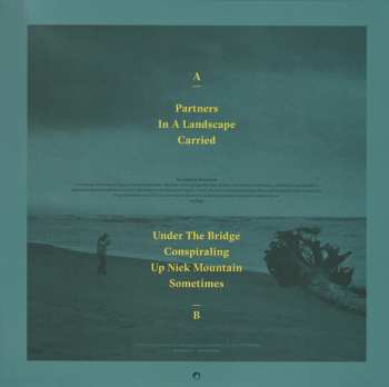 LP Peter Broderick: Partners
