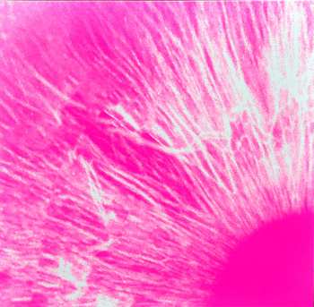 4LP/2CD/Doos/Blu-ray Peter Gabriel: I/O DLX | LTD