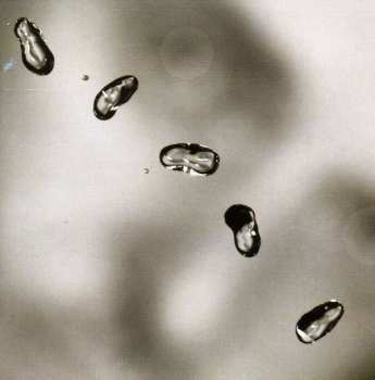 CD Peter Gabriel: Up