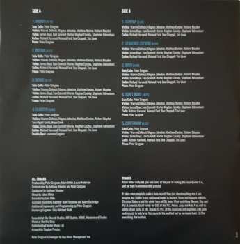 LP Peter Gregson: Patina