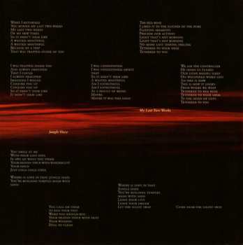 CD Peter Murphy: Dust