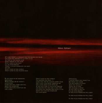 CD Peter Murphy: Dust