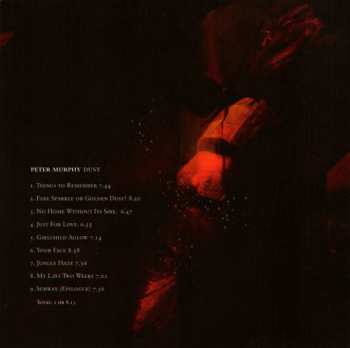 CD Peter Murphy: Dust