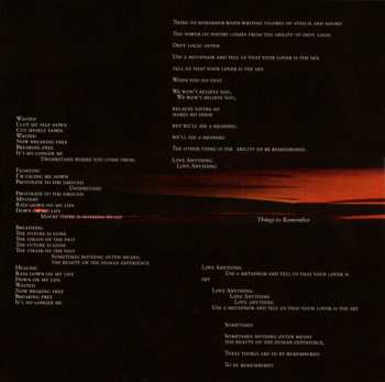 CD Peter Murphy: Dust