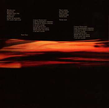 CD Peter Murphy: Dust