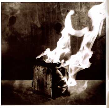 CD Peter Murphy: Secret Bees