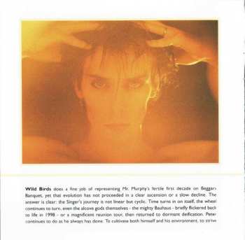 CD Peter Murphy: Wild Birds 1985-1995