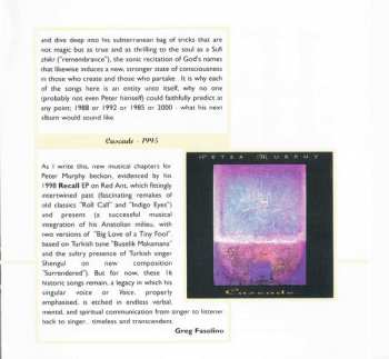 CD Peter Murphy: Wild Birds 1985-1995