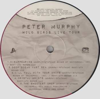 2LP Peter Murphy: Wild Birds Live Tour LTD | CLR